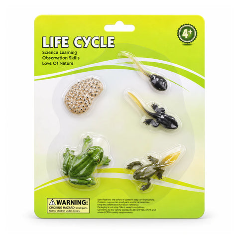 Frog Life Cycle figure set in a green blister pack, marked 4+, with frogspawn, tadpole, froglet and frog figures
