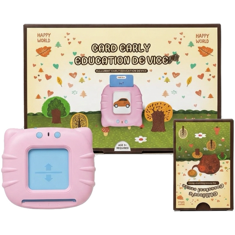 Talking Flash Card Reader