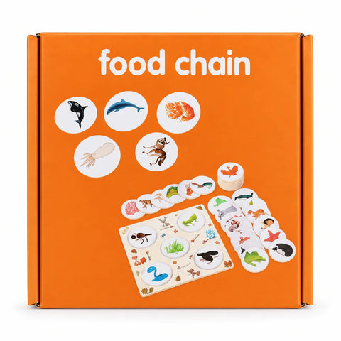 علبة Food Chain البرتقاني عليها أقراص حيوانات بحرية واللوحة متفرودة ومعاها أقراص صور تانية