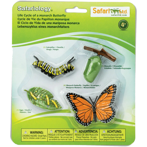 Life Cycle Figures — Butterfly